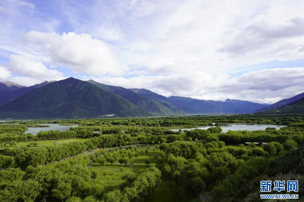 【我们的家园】雅尼国家湿地公园：亦“湿”亦画 绘就绿水青山新画卷