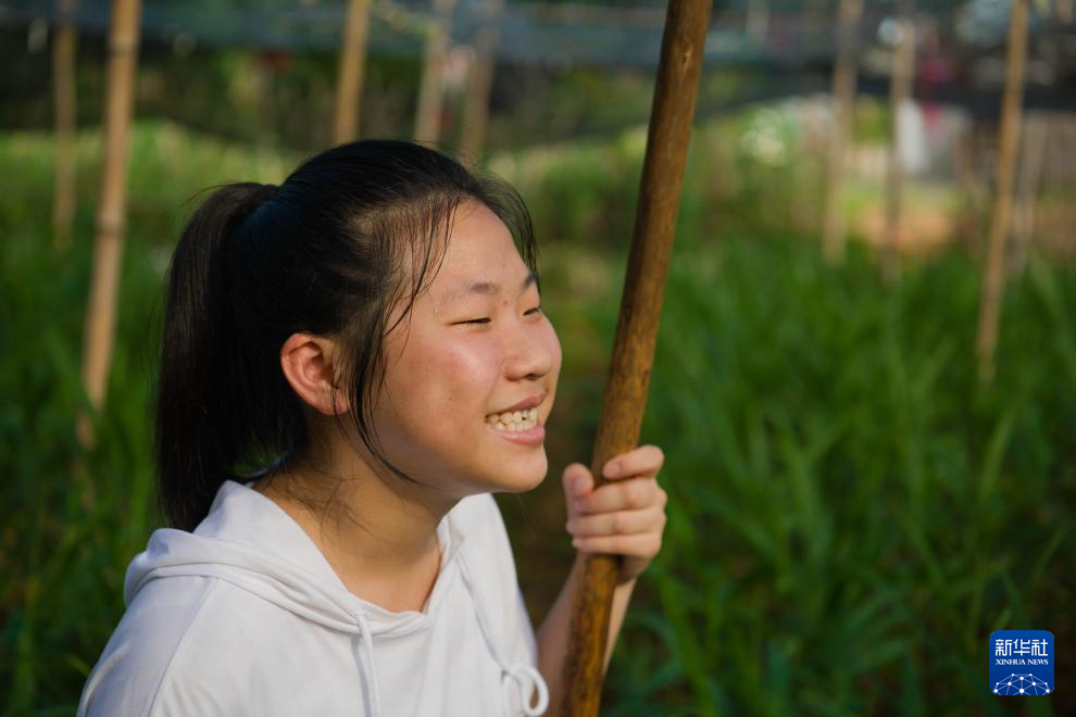 四季中国｜守护白姜的田间少女