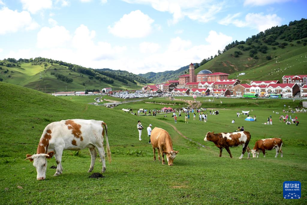 陕西陇县：关山草原夏日美