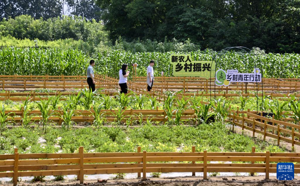 京南平原有了“花园乡村”