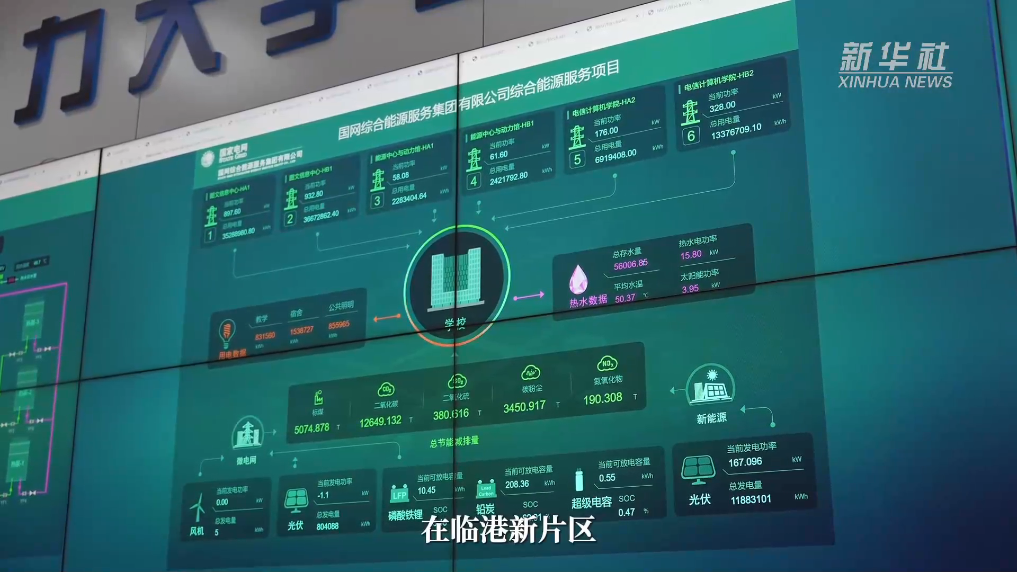 国际青年日｜新能源“新星”罗潇：与临港新片区的“双向奔赴”