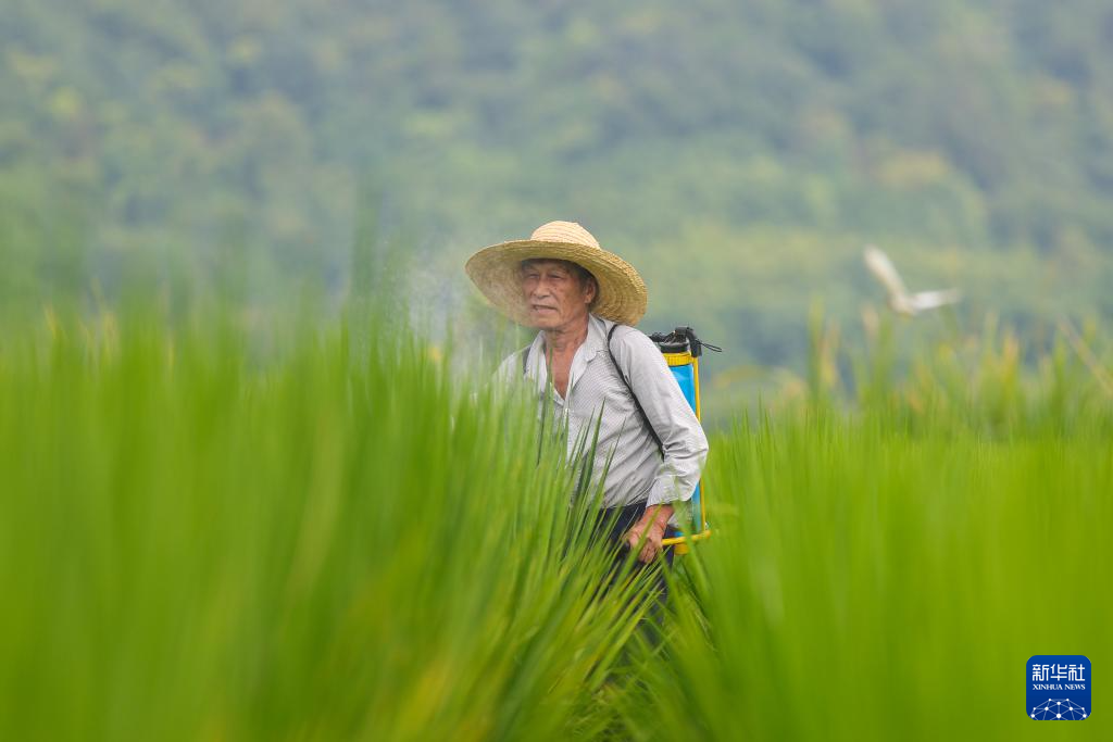 南宮28文化中國行·傳統(tǒng)村落人文影像志｜花明泉村：會稽山麓揆文奮武的江南古村(圖5)