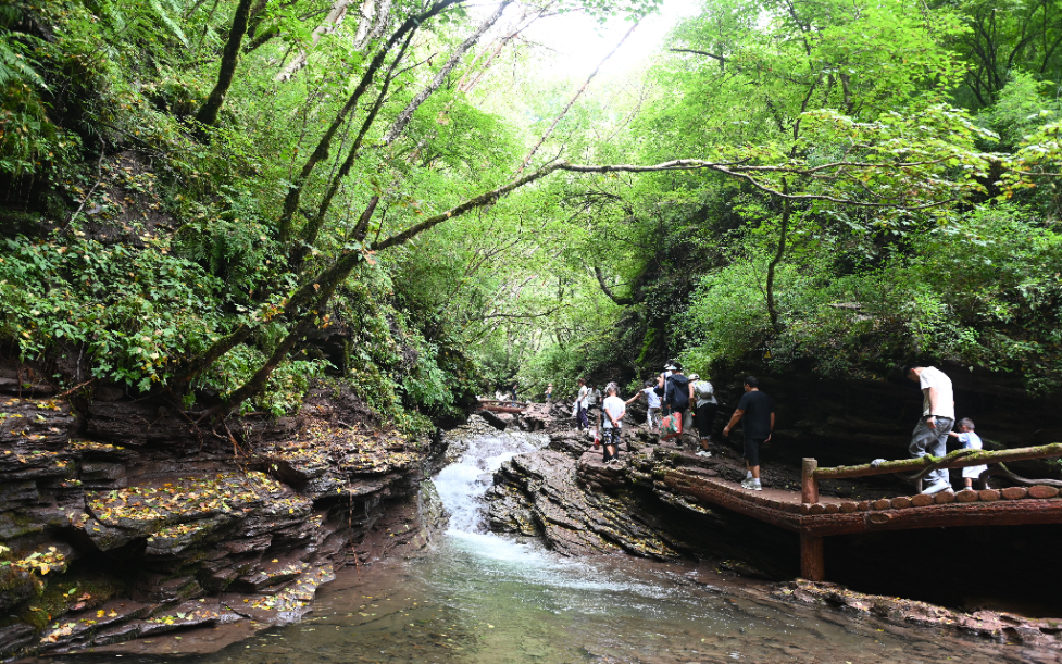 守护“一河三山” 让“塞上江南”越来越秀美