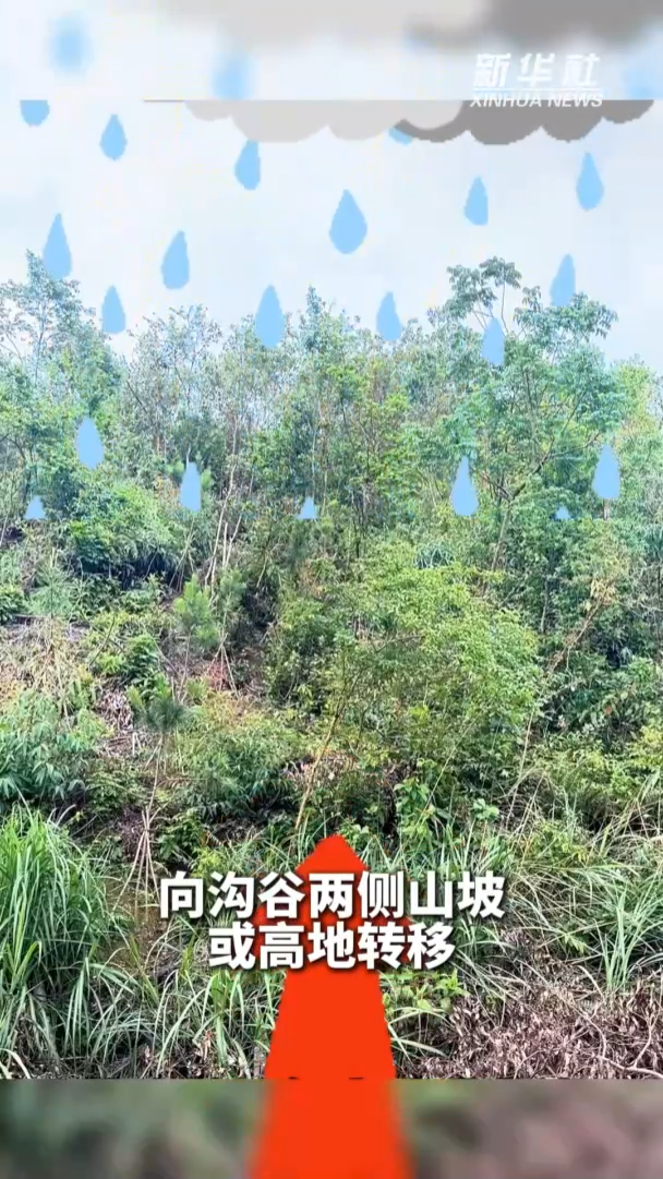 科普小课堂：外出遭遇山洪泥石流怎么办？