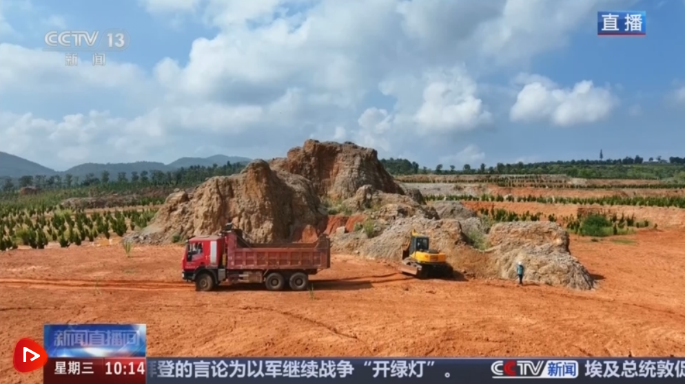 高质量发展调研行 | 石头荒山“蝶变”重焕新生 “两山”故事生动体现