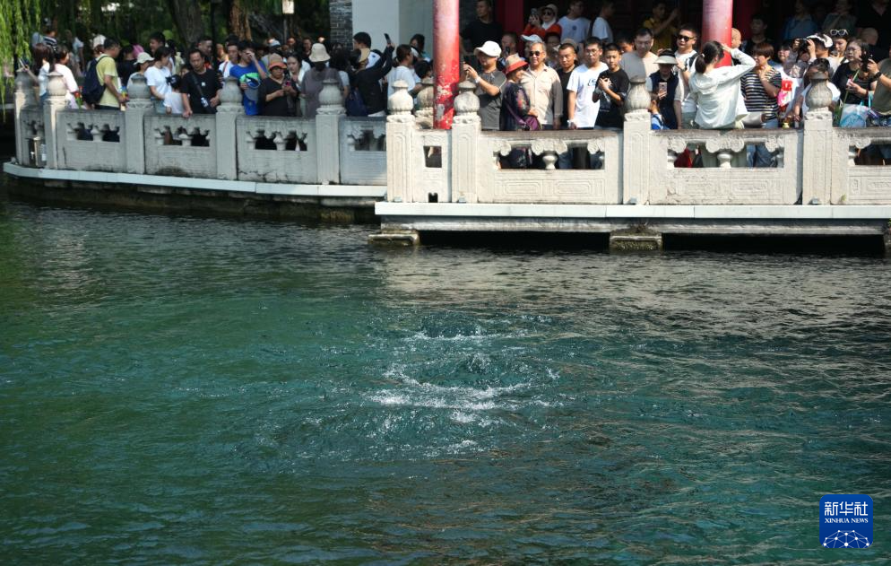 济南：趵突泉喷涌有力 “趵突腾空”美景重现