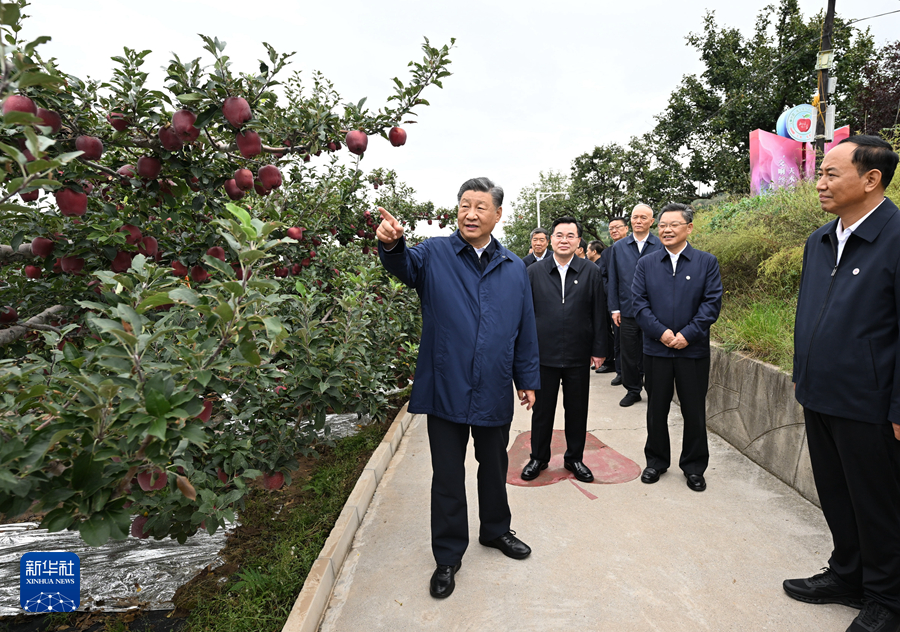 习近平在甘肃考察