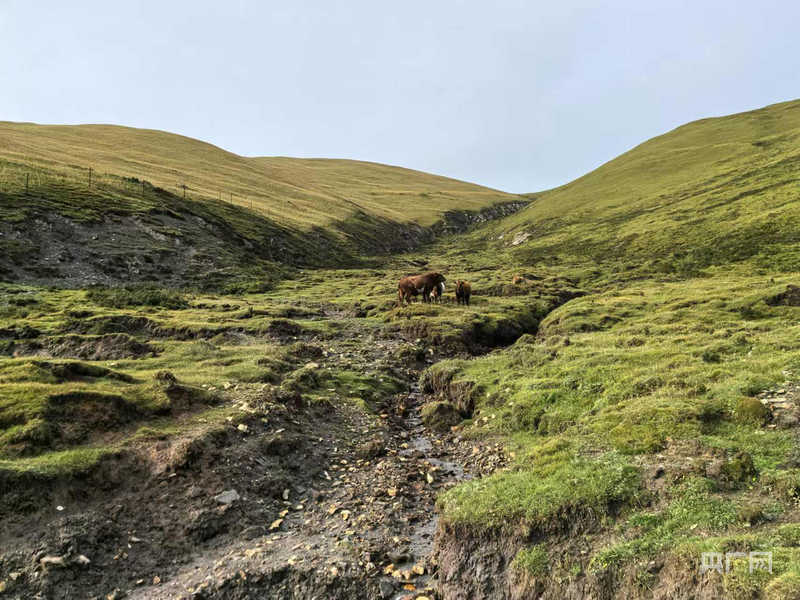 故事开始的地方丨在雪山大地 感受杨志军笔下的沧桑巨变