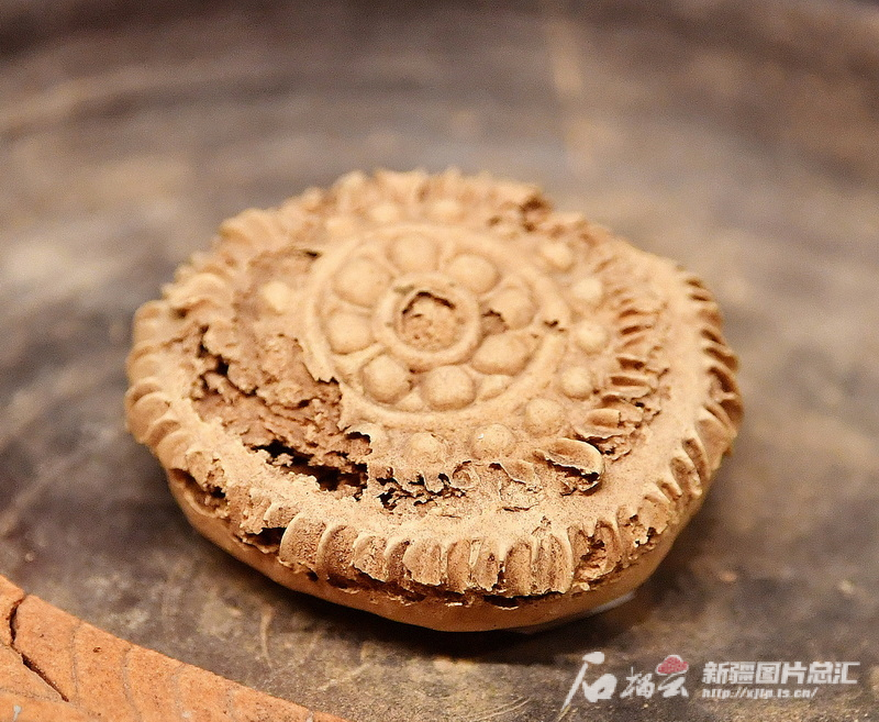 《新疆影像志》第十三辑 月亮代表我的心
