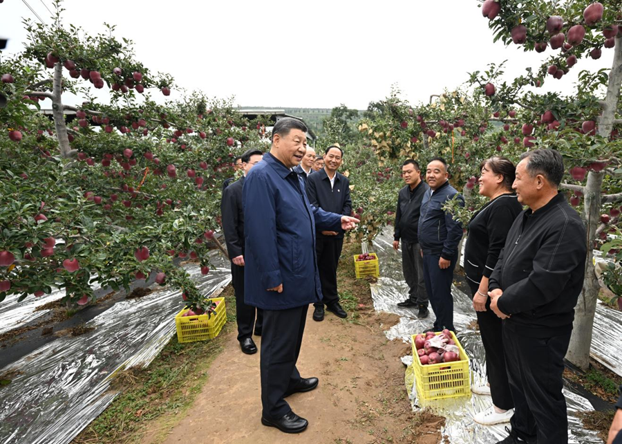 学习进行时丨“让农民腰包越来越鼓、生活越来越美好”——习近平总书记走进田间地头话“三农”