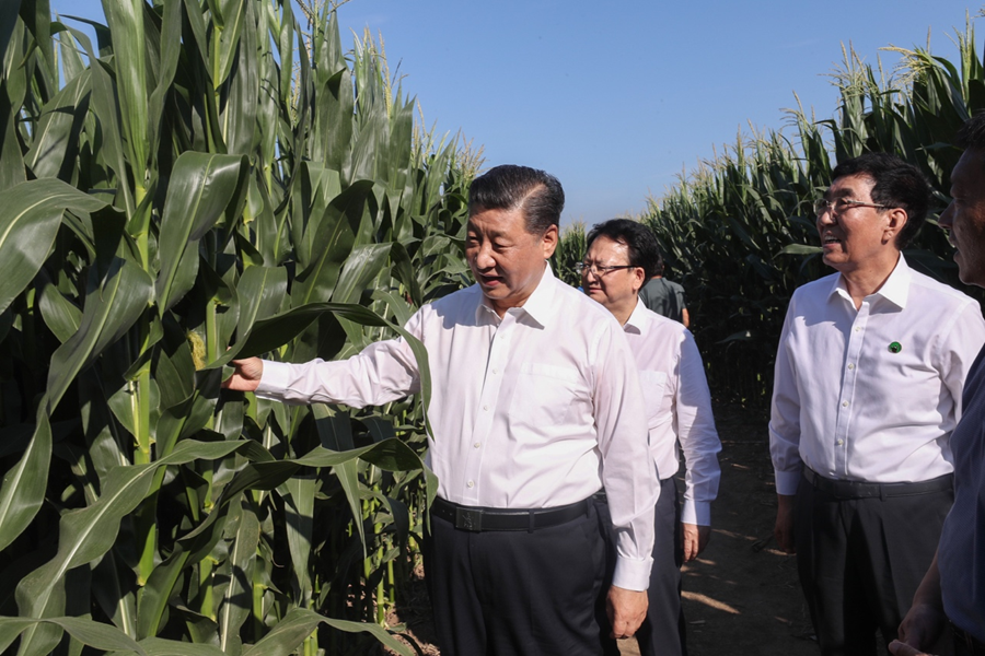 学习进行时丨“让农民腰包越来越鼓、生活越来越美好”——习近平总书记走进田间地头话“三农”