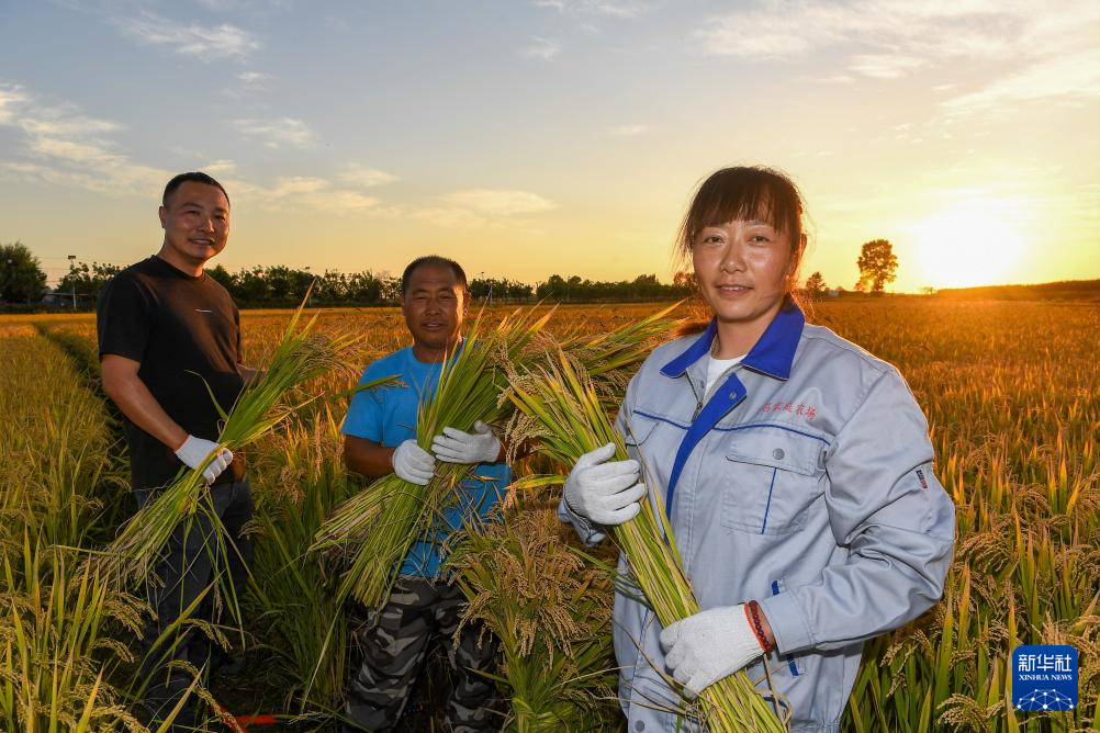 镜观中国｜丰收的喜悦