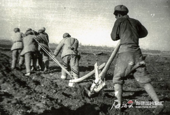 从“军垦第一犁”到“农”为全国作示范——新疆生产建设兵团成立70周年发展综述之一