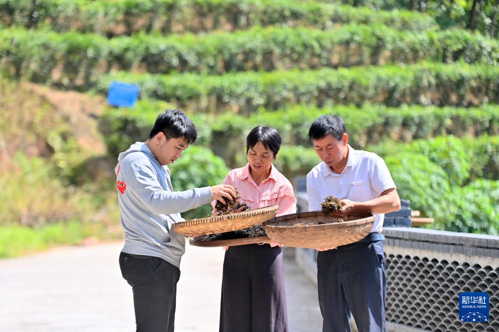 爱你所爱——广西大山里别样的“敬老爱老”