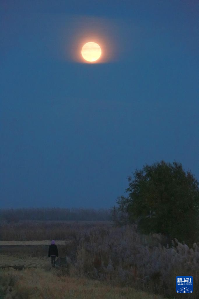 年度最大满月现身夜空