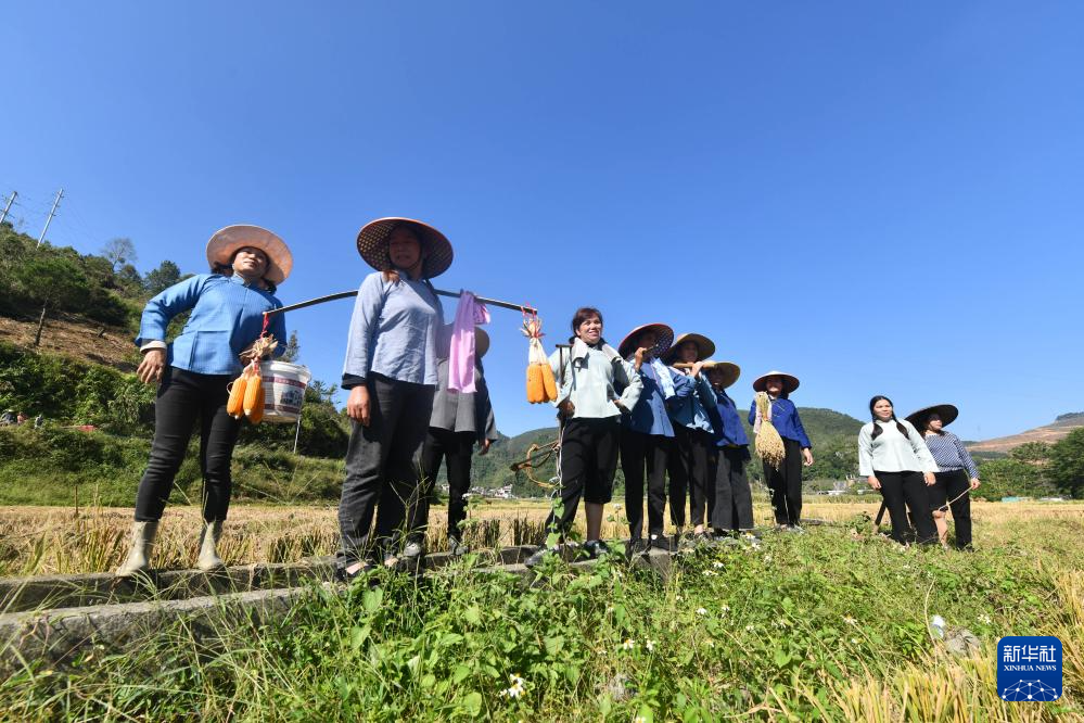 田园歌舞庆丰收