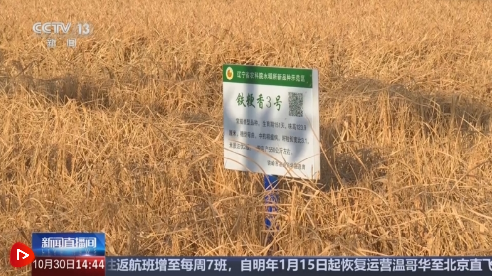 良种、良法、良机护航 在田野好“丰”光里看农业发展“未来式”