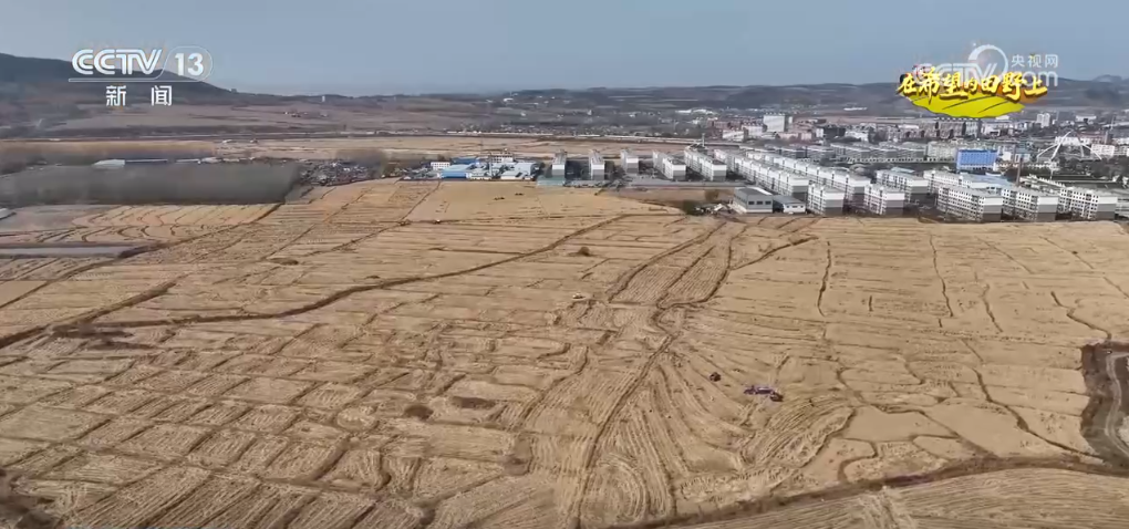 “智”绘“丰”景 穰穰满家 科技赋能为希望的田野绘就稻香金秋