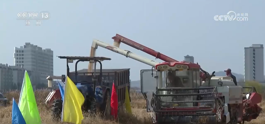 “智”绘“丰”景 穰穰满家 科技赋能为希望的田野绘就稻香金秋