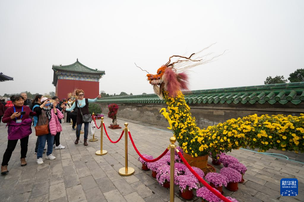 北京：天坛赏秋菊