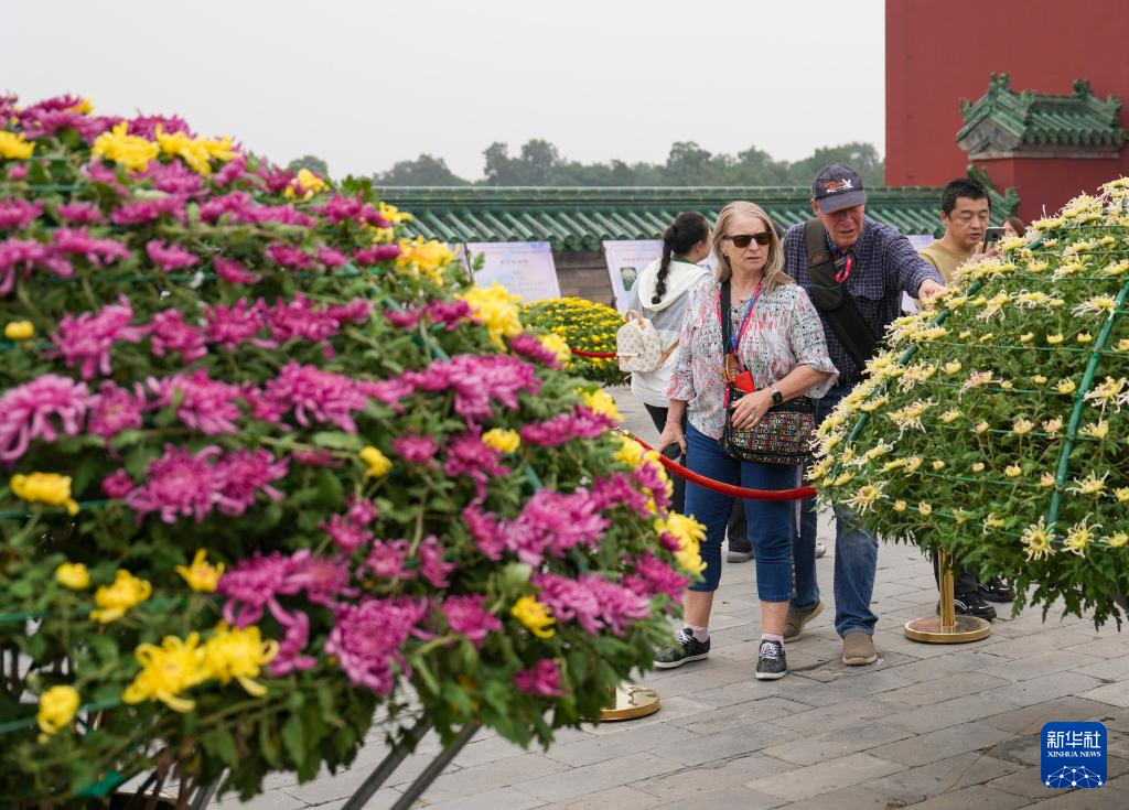 北京：天坛赏秋菊