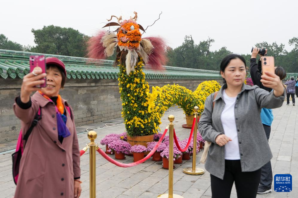 北京：天坛赏秋菊