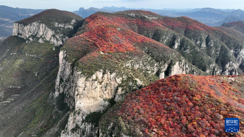 记号中国丨河北邢台：太行红叶醉晚秋