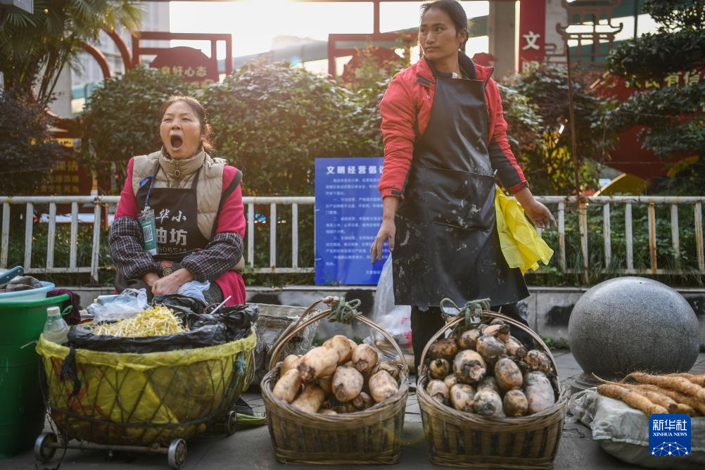 图片故事丨这趟城乡公交，载满人间烟火和城市温度