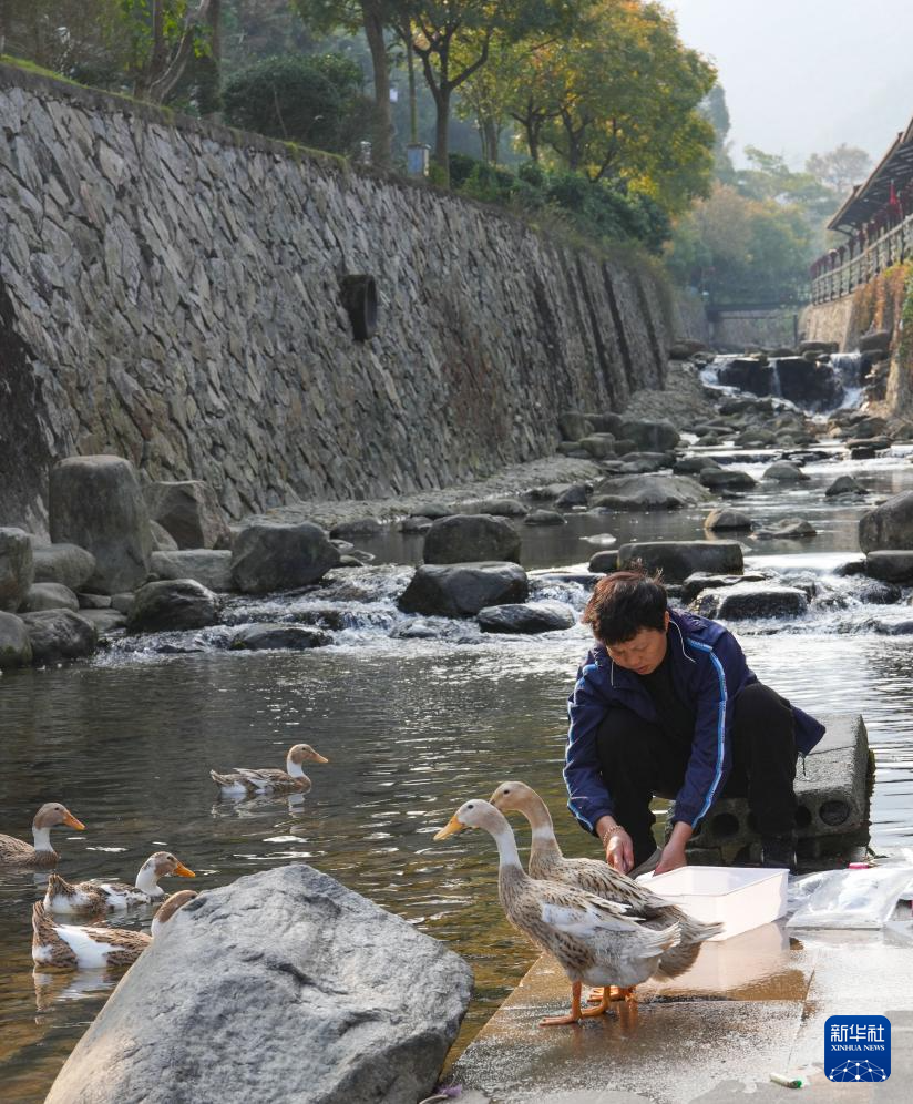 高质量发展调研行丨浙江舟山：建设海岛美丽乡村