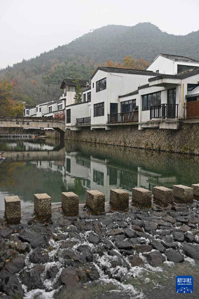 高质量发展调研行丨新光村的绿水青山致富路