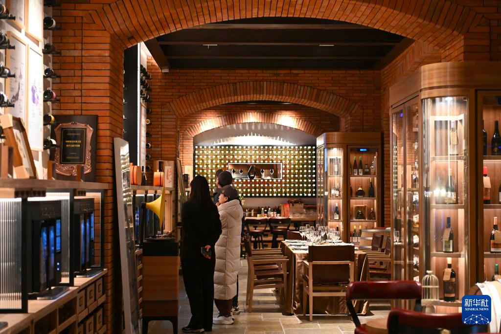 高质量发展调研行丨宁夏贺兰山东麓:葡萄酒飘香产业兴