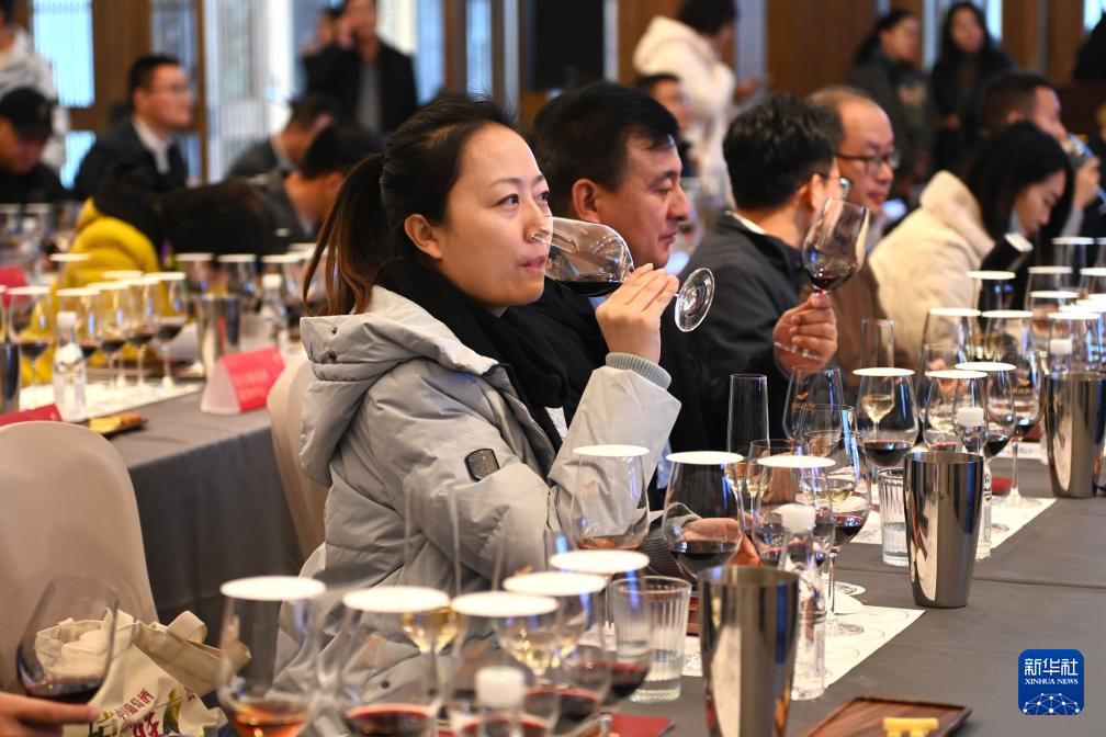 高质量发展调研行丨宁夏贺兰山东麓:葡萄酒飘香产业兴