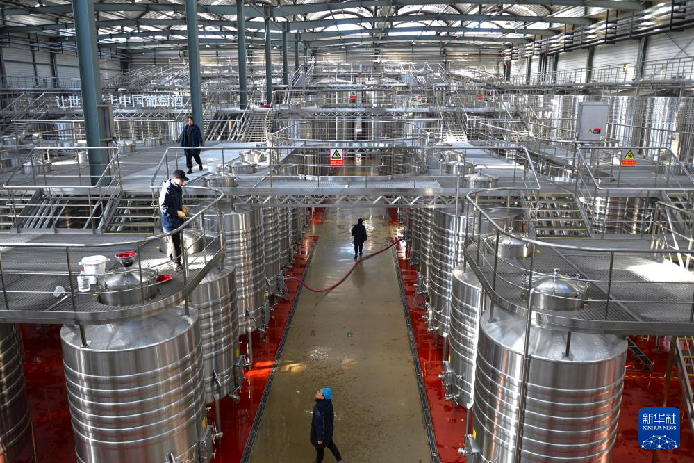 高质量发展调研行丨宁夏贺兰山东麓:葡萄酒飘香产业兴