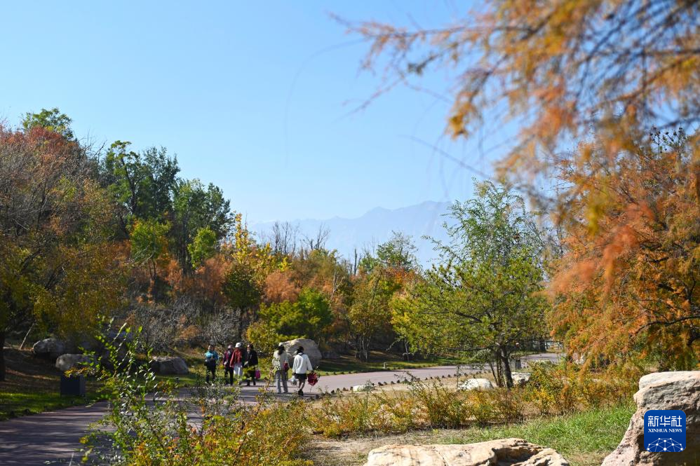高质量发展调研行丨宁夏贺兰山东麓:葡萄酒飘香产业兴