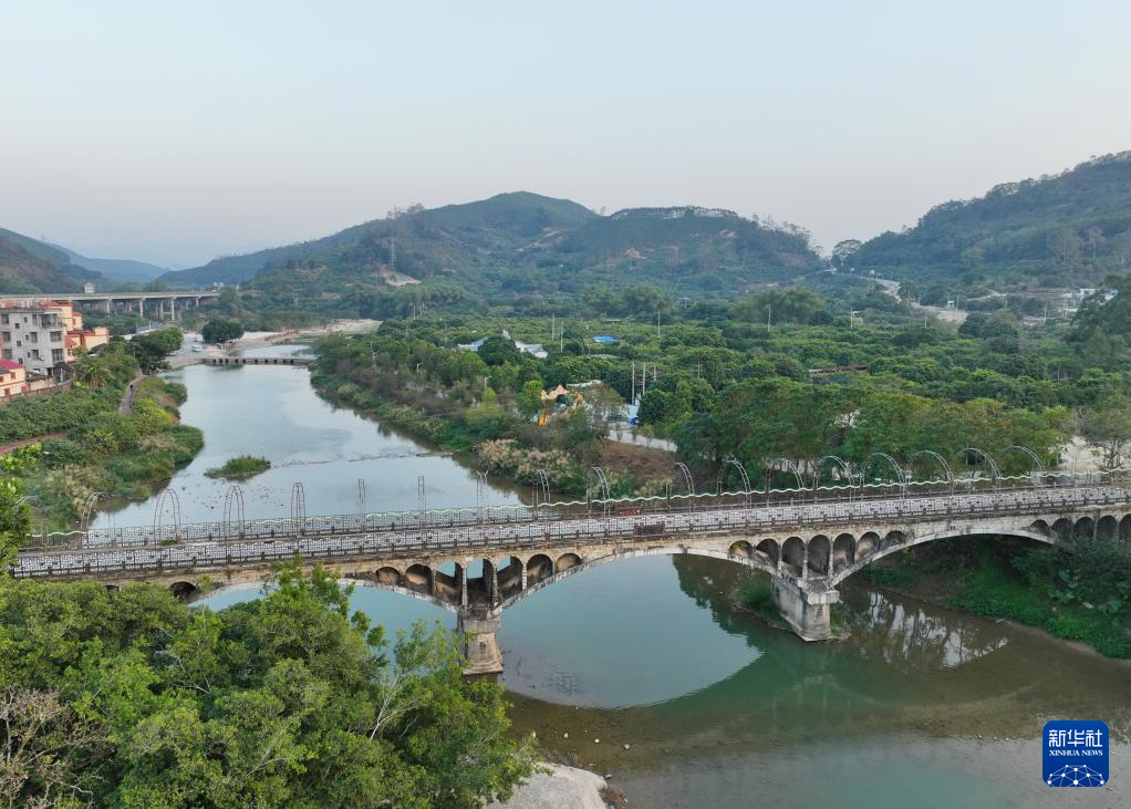 福建云霄下河村迎来杨桃丰收季