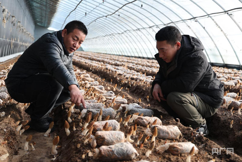 高质量发展看中国丨打破季节限制壁垒，实现农业生产的时空转换