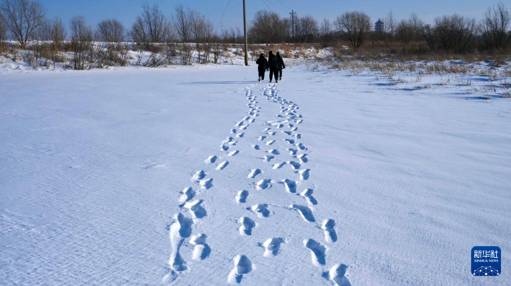 踏雪巡线