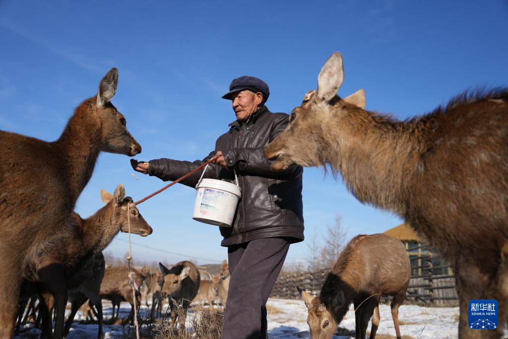 新春走基层丨“和美乡村”元古堆:红火的日子 幸福的味道