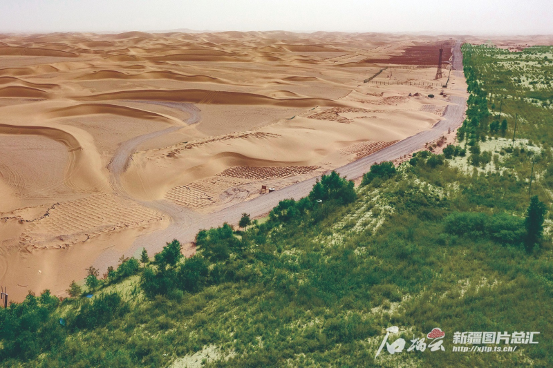 2025新疆两会·深度 | 新疆纵深推进三大重要领域生态治理