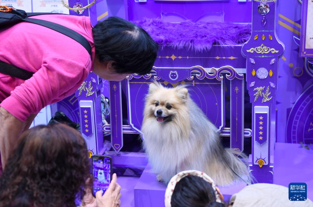 香港宠物节开幕