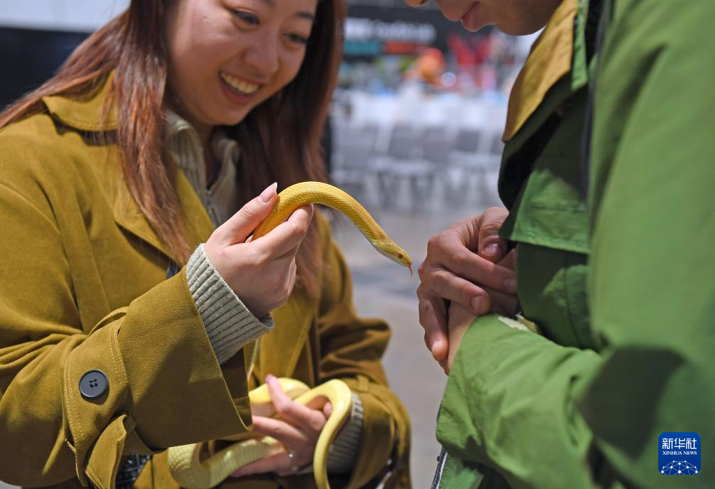 香港宠物节开幕