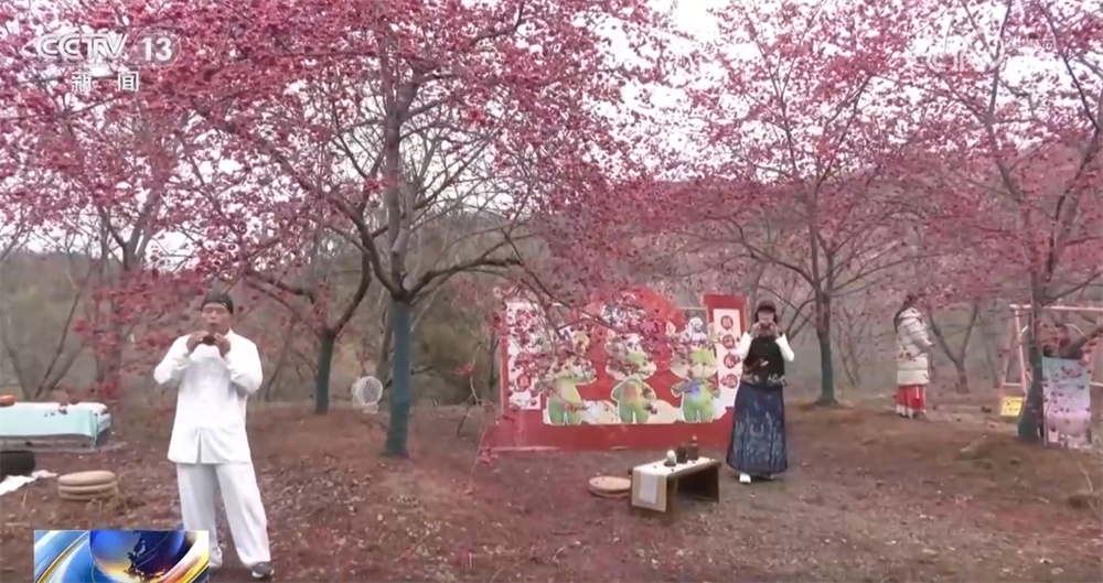 “县域游”“滨海游”“赏花游”热力足 文旅市场释放高质量发展新潜力