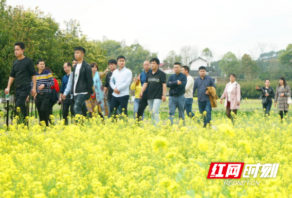 好评中国丨让人才潮涌在希望的田野上