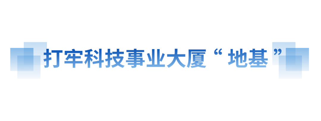 奋进的春天丨向“新”而行 提“质”而上