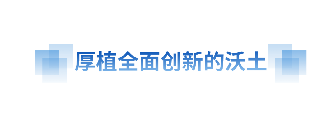 奋进的春天丨向“新”而行 提“质”而上