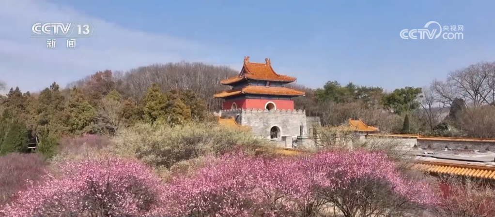 三月春暖 花开烂漫 漫卷春色在神州大地渐次铺展