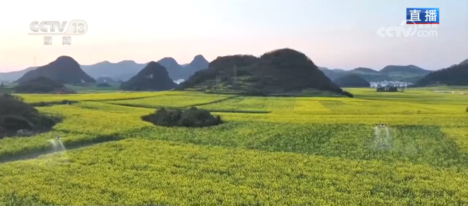 从“种庄稼”到“种风景” 农文旅融合让村民鼓起“钱袋子”