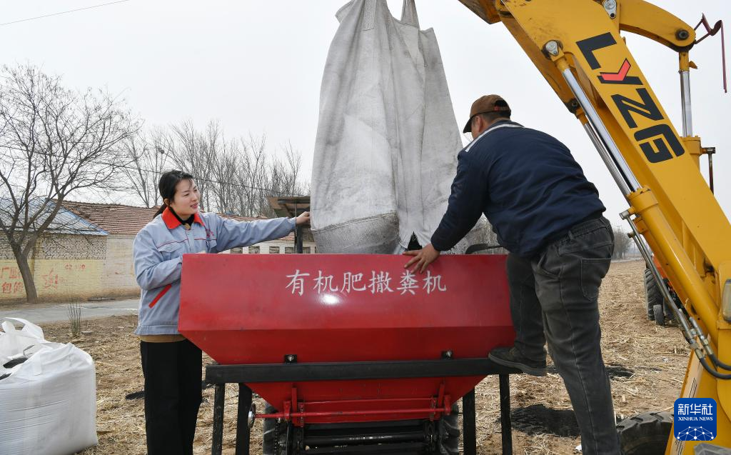 图片故事丨巾帼新农人 “慧”种盐碱地