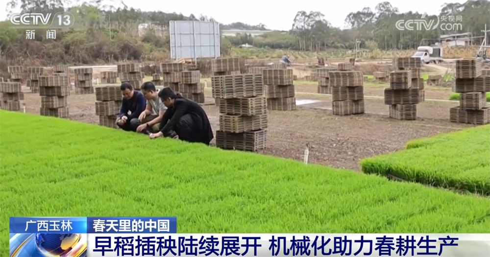 万象“耕”新不负春 希望的田野上农业现代化图景满满“科技范儿”