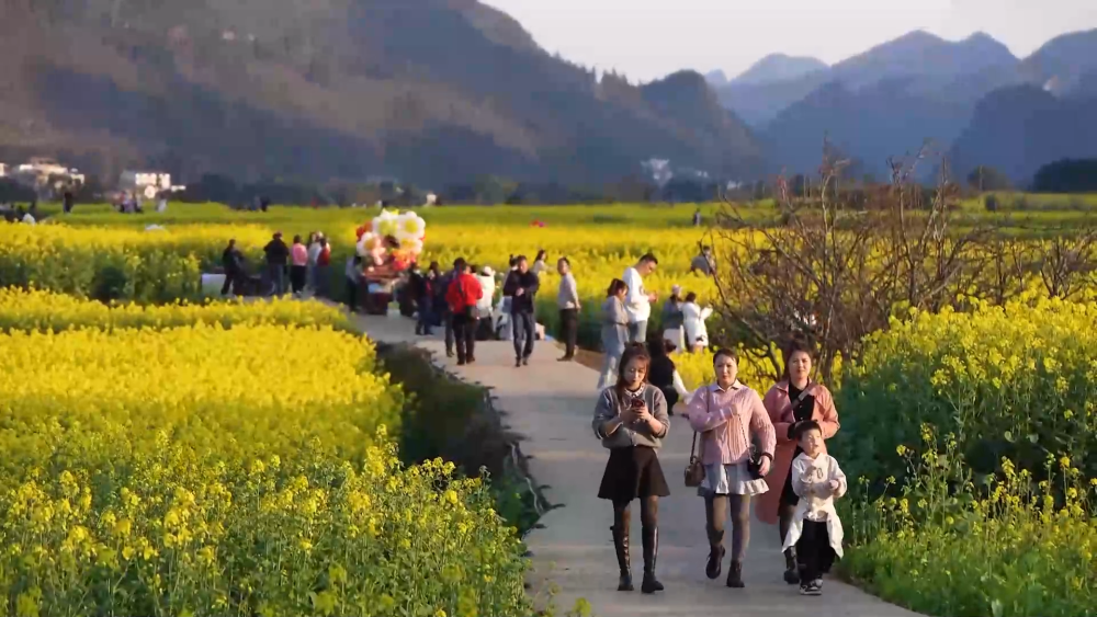 “颜值”变“产值” “赏花+”催动文旅消费活力